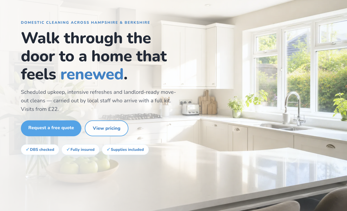 Cleaning company website design concept